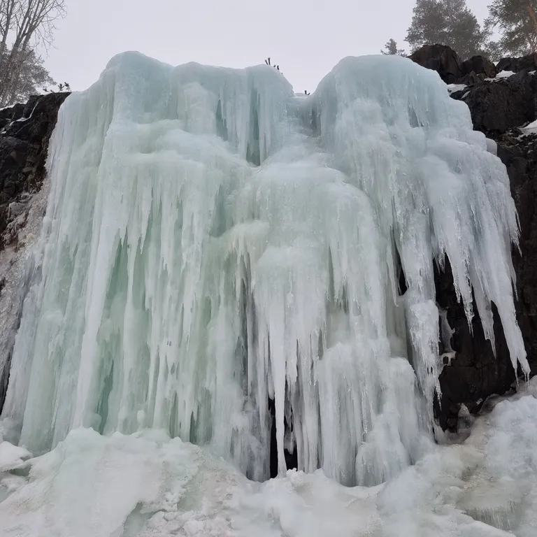 Дом Talotonttu на холме в окружении леса