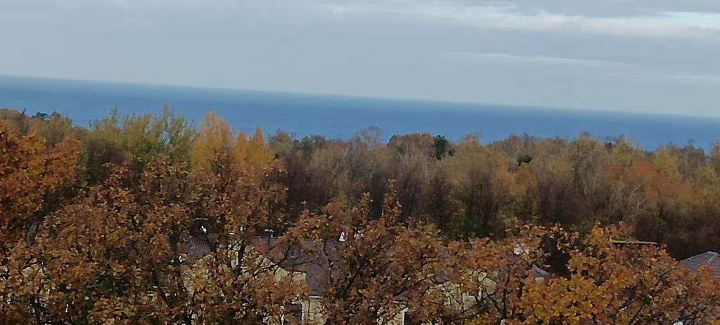 Янтарная долина