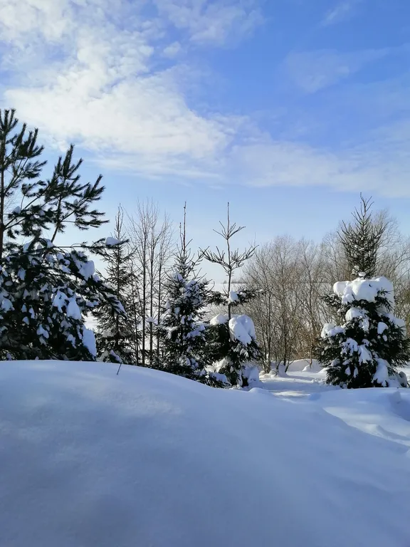 Коттедж Уютный новый домик в живописном месте Коломенского округа — Сычево