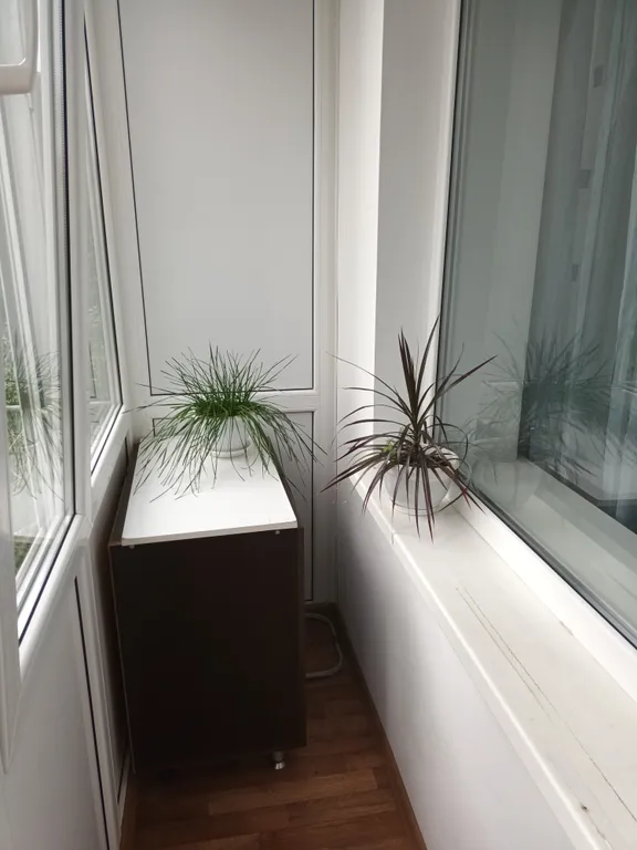 Уютная чистая квартира