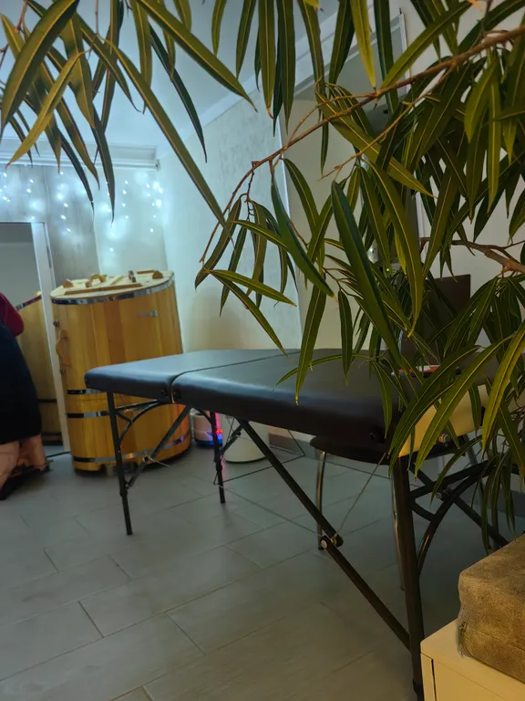 Квартира с фитосауной в частном доме