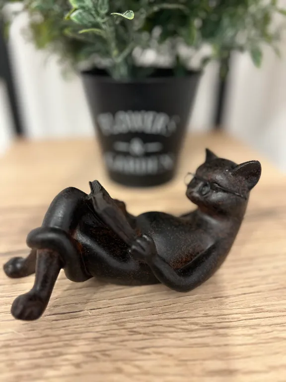 Квартира Кот учёный