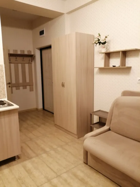 Квартира Квартира Уютная студия — Сириус