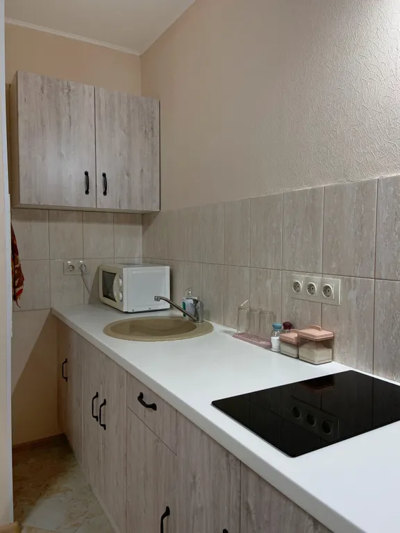 Квартира Квартира Новая большая студия с ванной — Сапроново