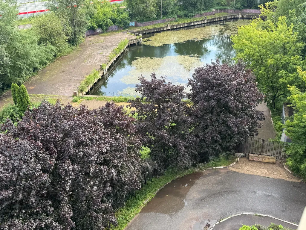 Студия Бордо