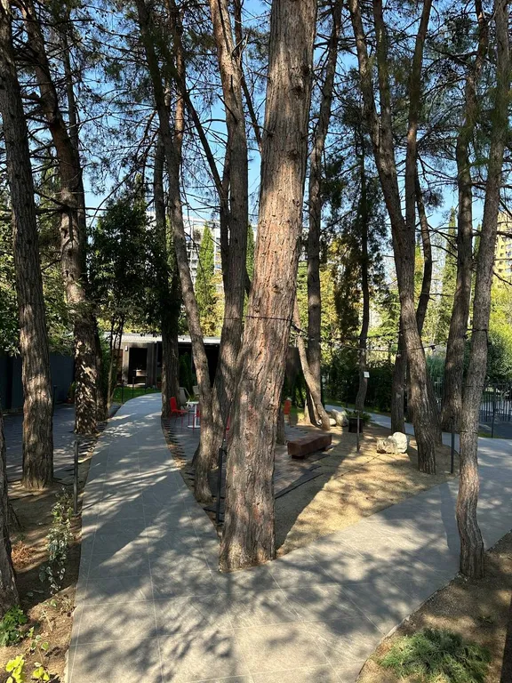 Апартамент в отеле Моне