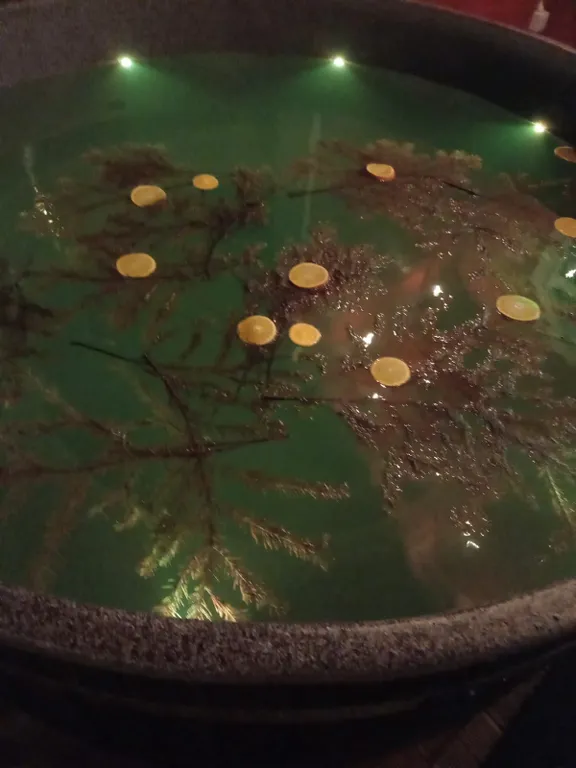 Отдых у леса в уютном домике с купелью-фурако (банный чан)