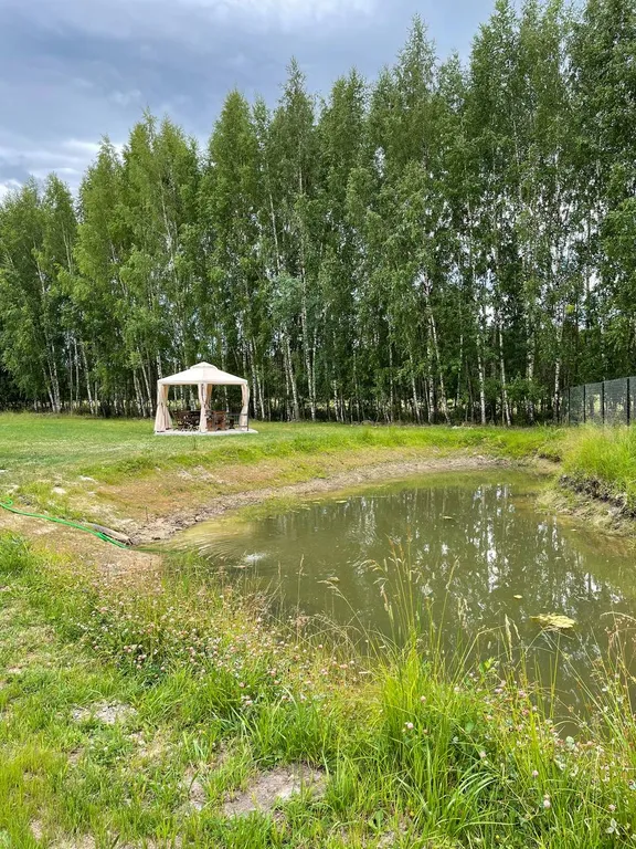 The поле - дом с баней и купелью без соседей