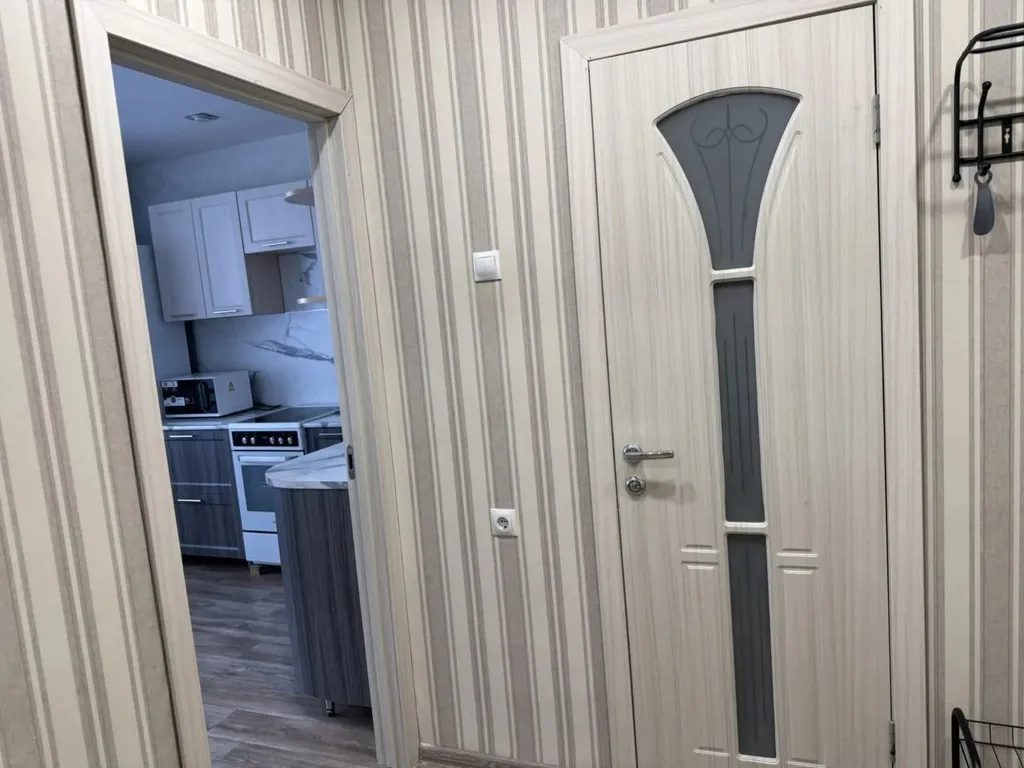 Просторная однокомнатная квартира