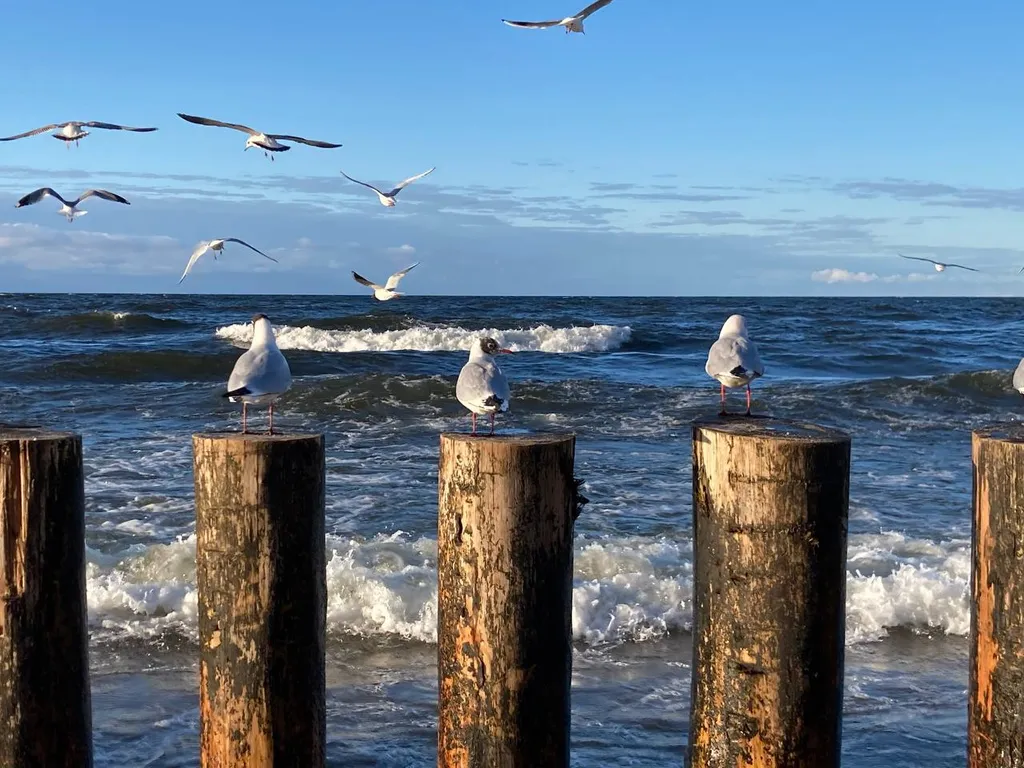 Исторический центр, Дом на дюне