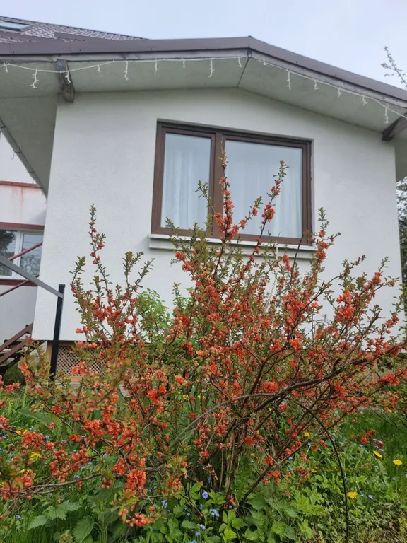 Уютная квартира в центре Пионерского на 6 человек