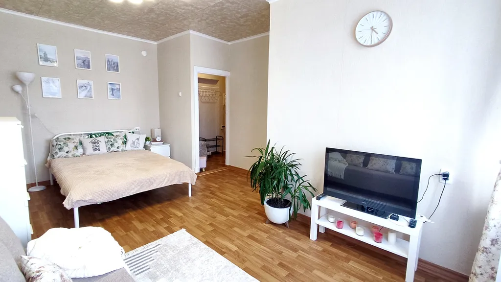 Уютная однушка в тихом центре