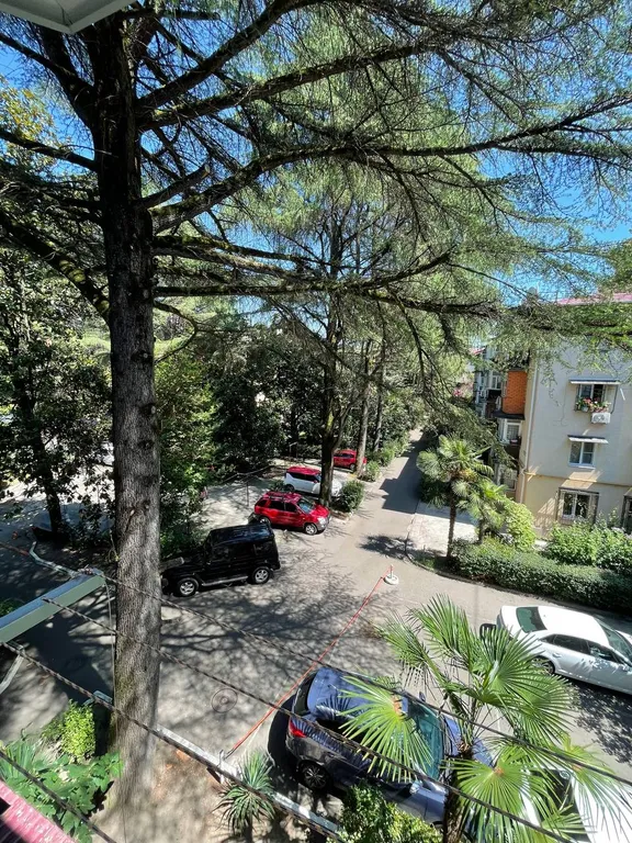 Квартира Уютная квартира в центре — Сочи