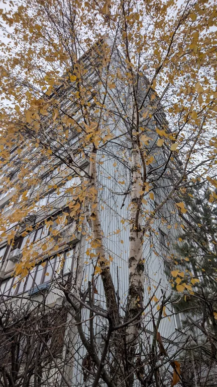 Квартира с камином в центре города