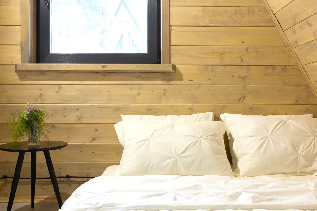 Домик A-Frame с купелью