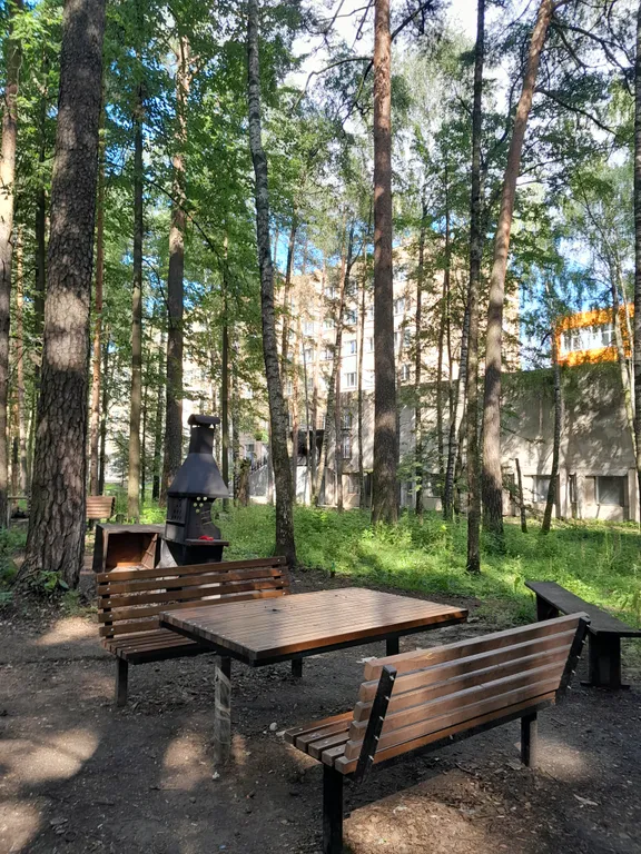 Студия в сосновом бору