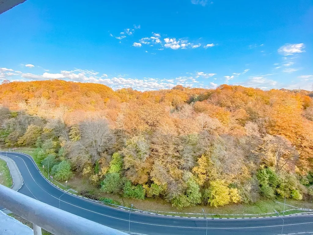 Квартира Уютные апартаменты Abri Luxe в Министерских озерах — Раздольное