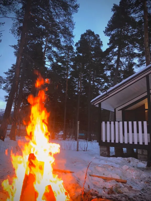 Домик в сосновом бору с видом на горы и лес