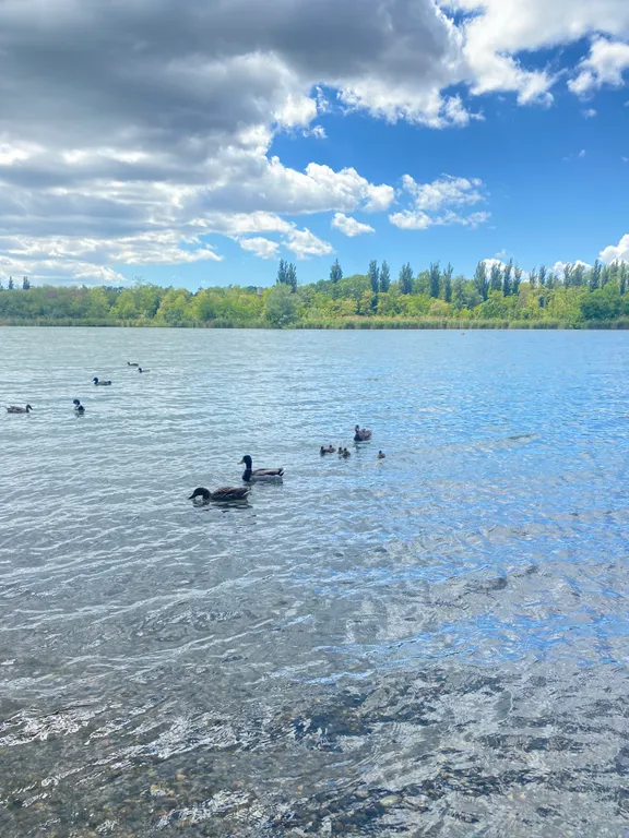 Квартира Квартира Однокомнатная квартра с видом на реку Кубань — Краснодар