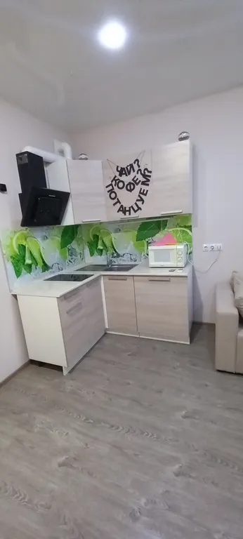 Студия в микрорайоне Губернский