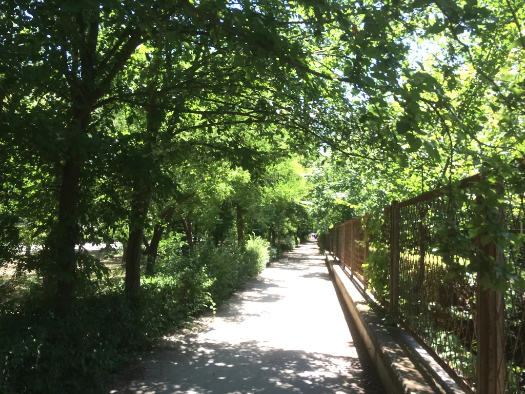 Апартамент бригантина делюкс, заозерное