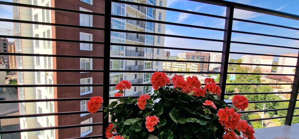 Апартаменты Дом Альберта