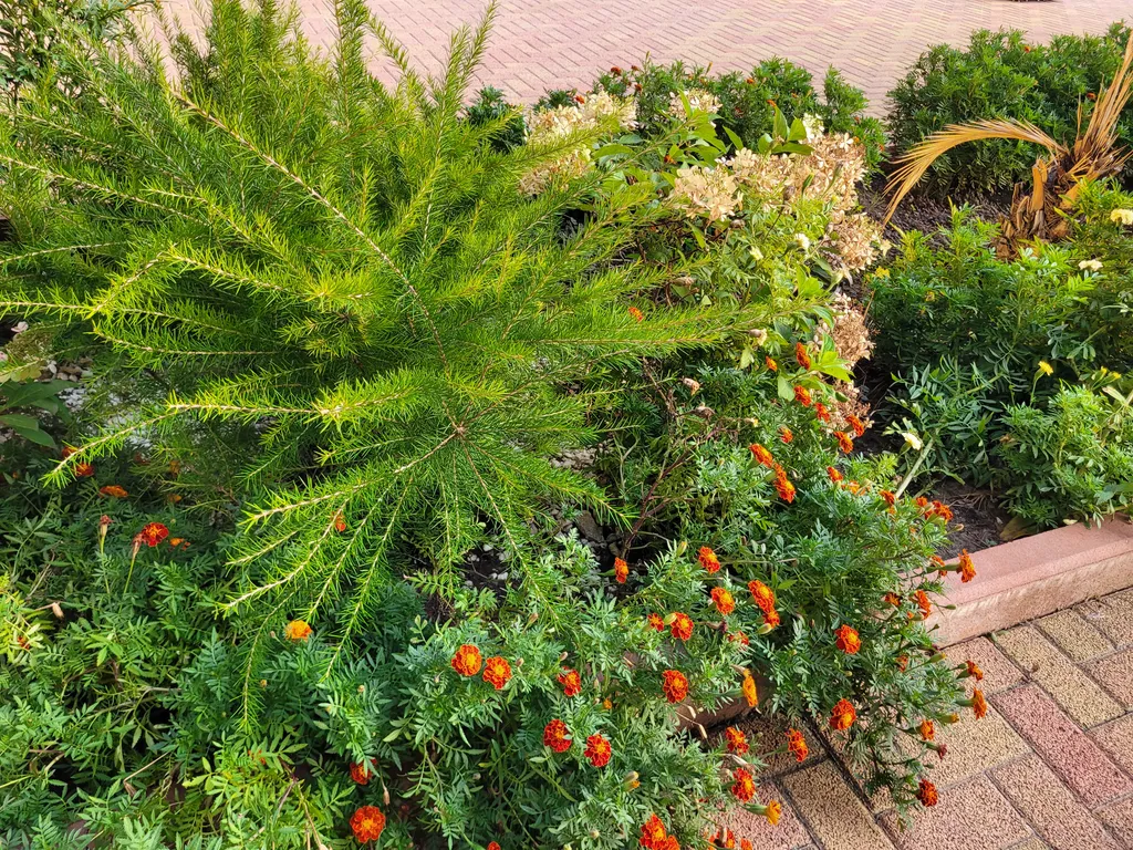 Квартира Квартира у самого синего моря — Сириус