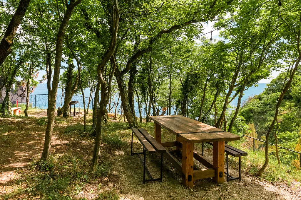 Панорамные апартаменты делюкс с террасой и видом на парк