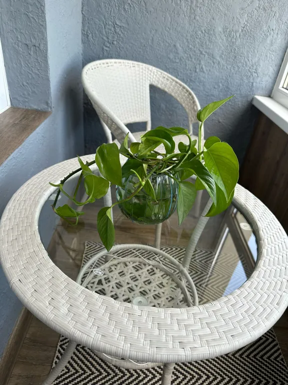 Квартира в центе города