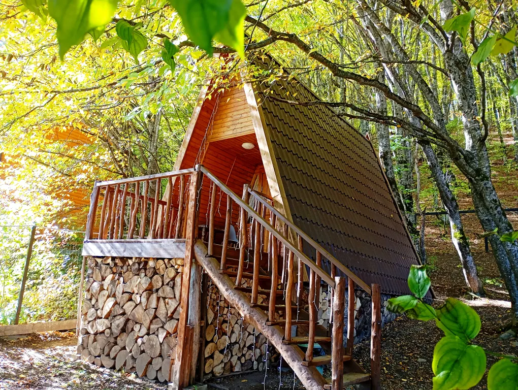 Шале с видом на лес и горы