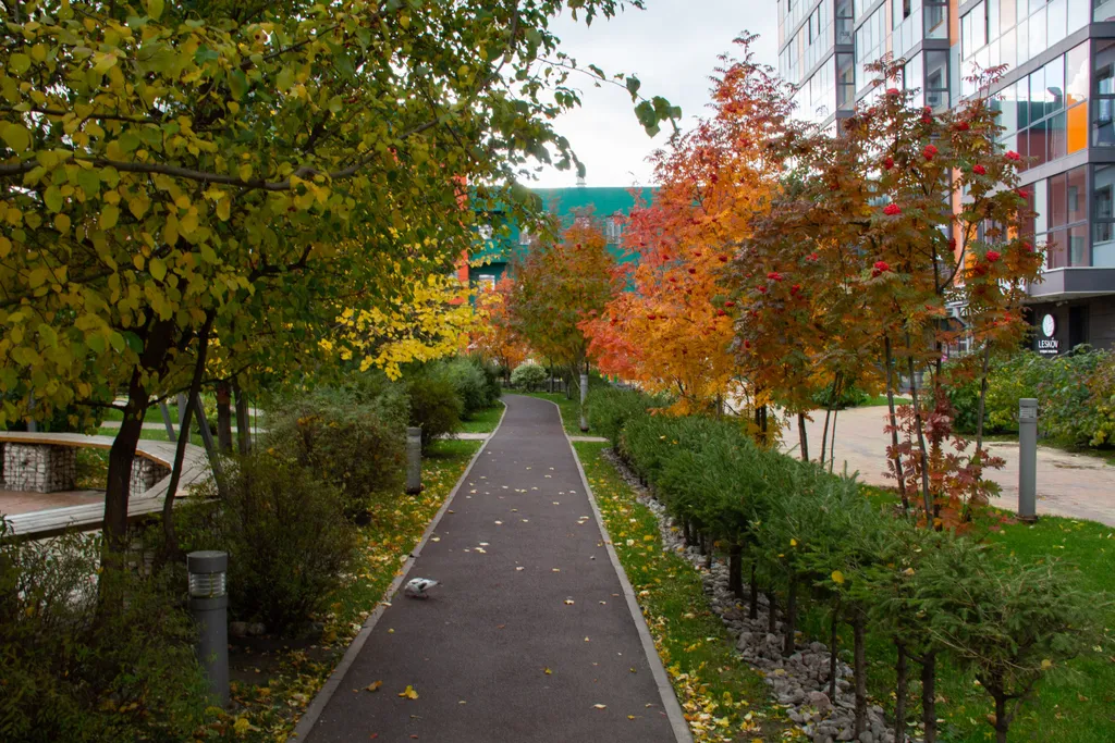 Большая двухкомнатная квартира в центре