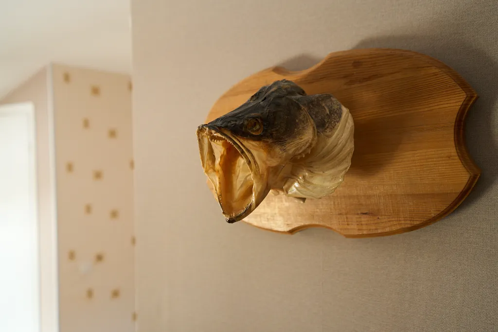 База отдыха Коттедж №1