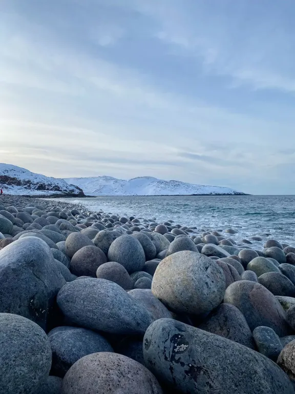 Современные Апартаменты на берегу Баренцева моря