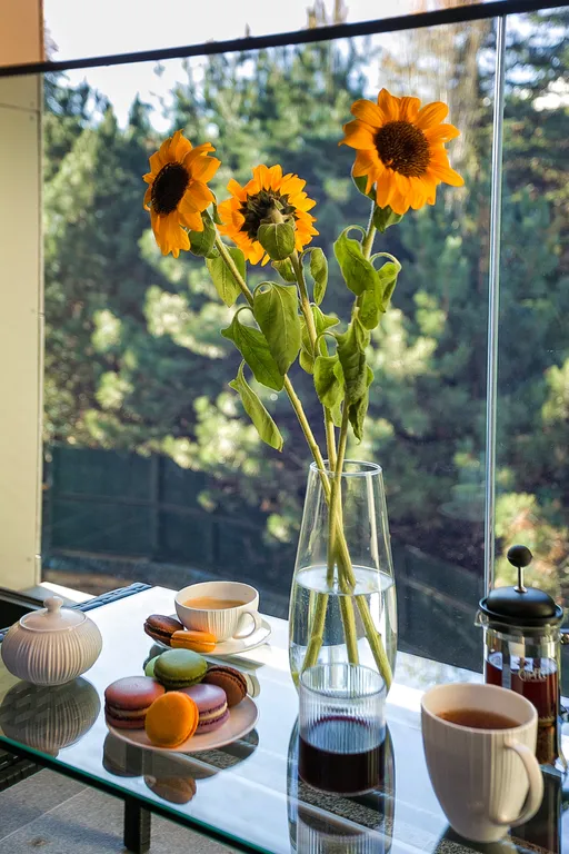 Крымская Сказка