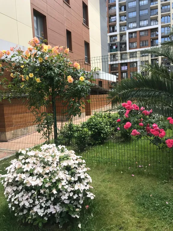 Квартира с видом на море, пляж 50 метров