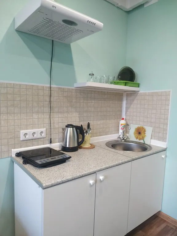 Домашняя студия в шаговой доступности от метро