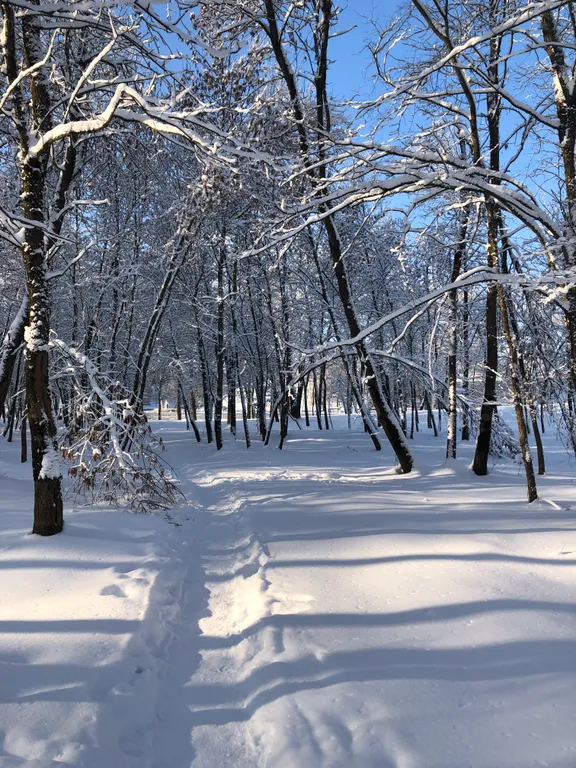 Дом у озера в 10 минутах ходьбы от центра города