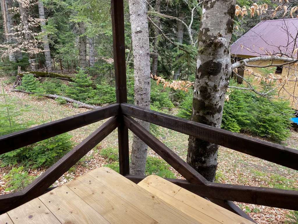 Уютный домик-котедж в горном лесу