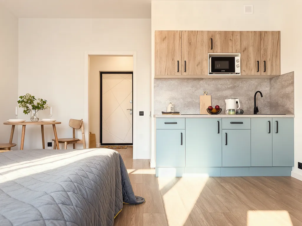 Стильная студия Карельский Лось рядом с вокзалом