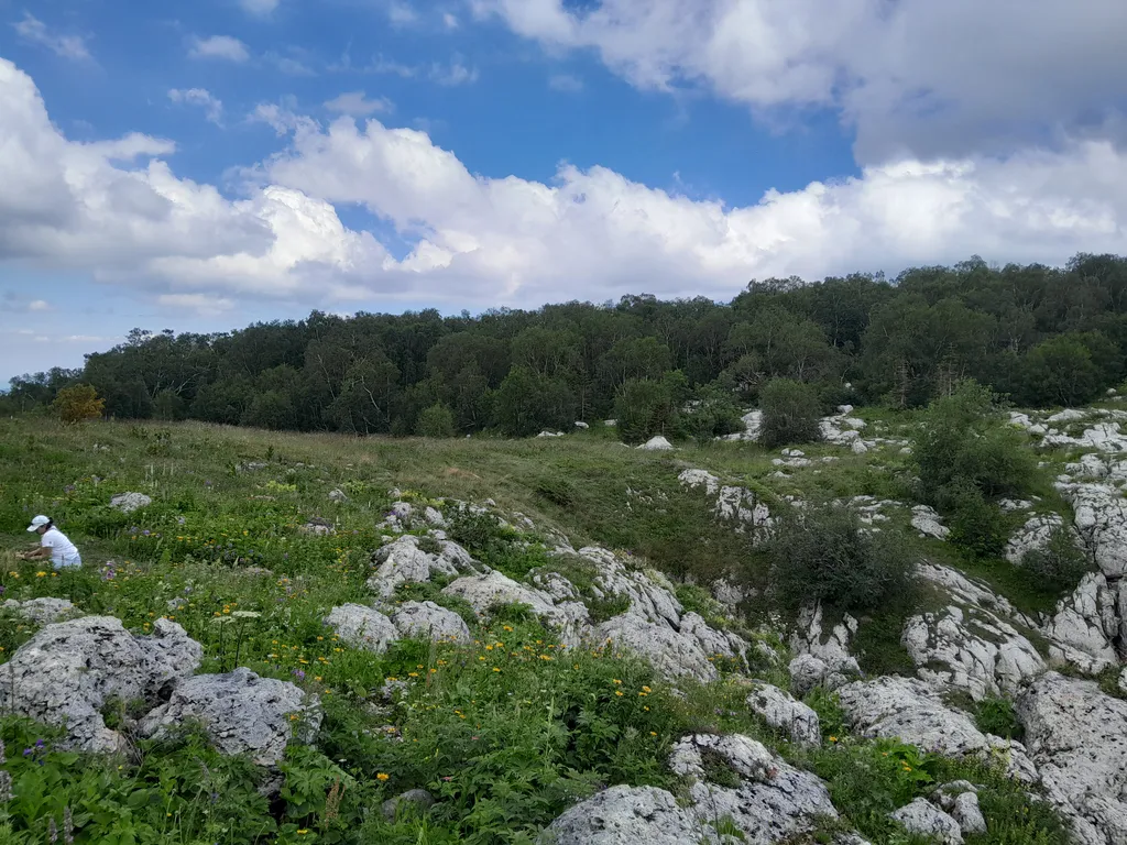 Дом на охотничем 26