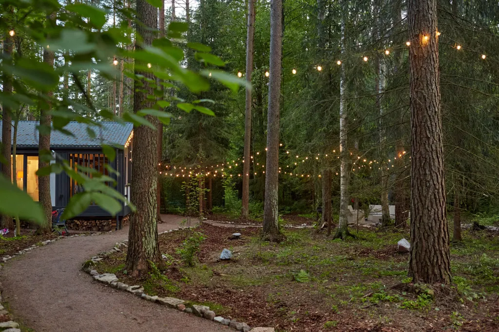 Твой дом в сосновом лесу в самом сердце Репино