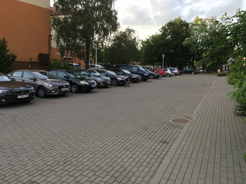 Квартира 2-комнатная квартира для комфортного отдыха — Светлогорск