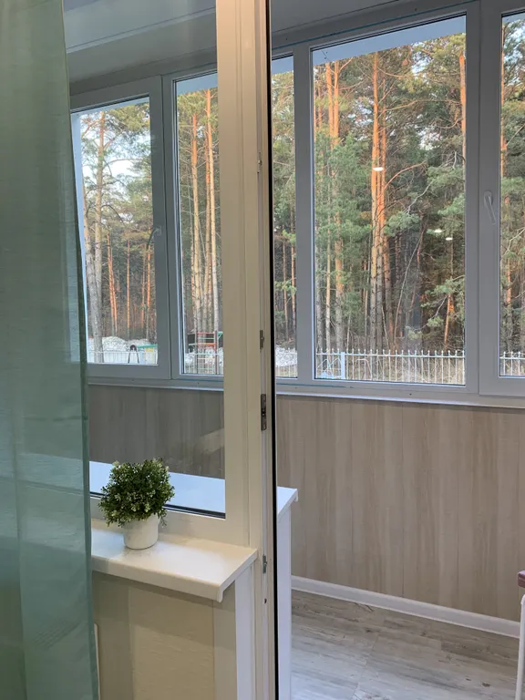 Студия на берегу Обского моря в бору Сказочный лес