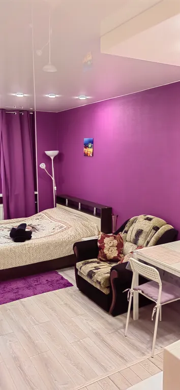 Квартира Квартира Небольшая яркая студия — Шушары