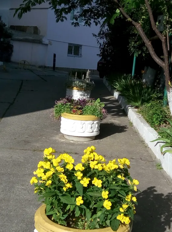 Двухместная комната с раздельными кроватями