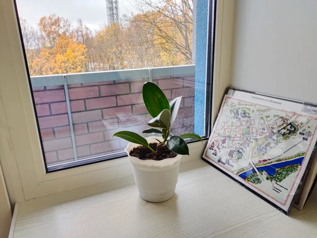 Светлая квартира с видом на рощу