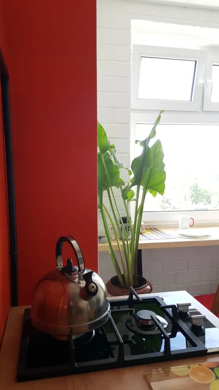 Квартира с панорамным видом на гору Чатыр Даг