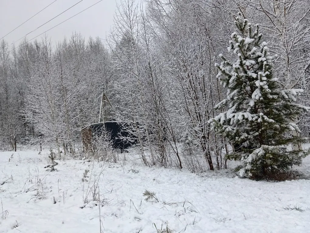 Уютный домик с комфортом  в лесу