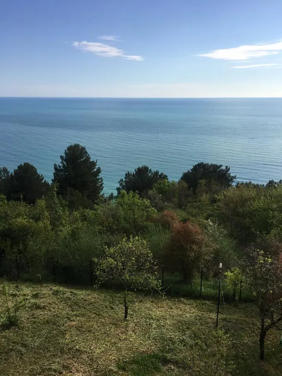 Трехместный номер с шикарным, панорамным  видом на море