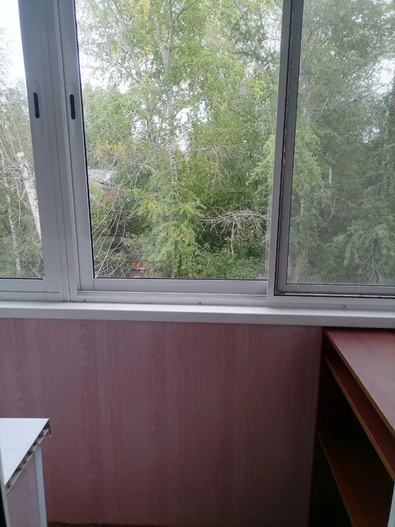 Квартира в Левшино